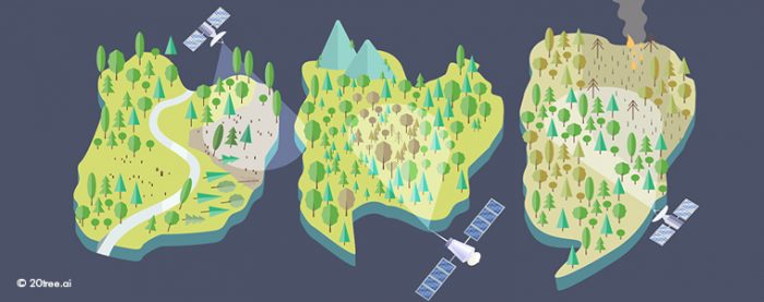 Creating Planet Intelligence